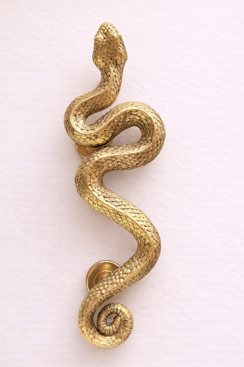Brass Snake Door Handle