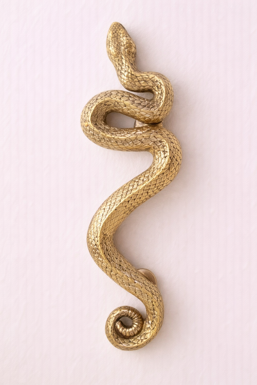 Brass Snake Door Handle