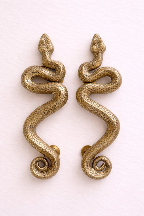 Brass Snake Door Handle Set