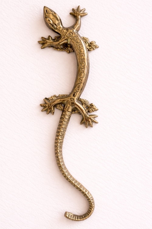 Brass Gecko Door Handle