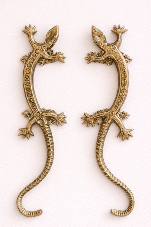 Brass Gecko Door Handle Set