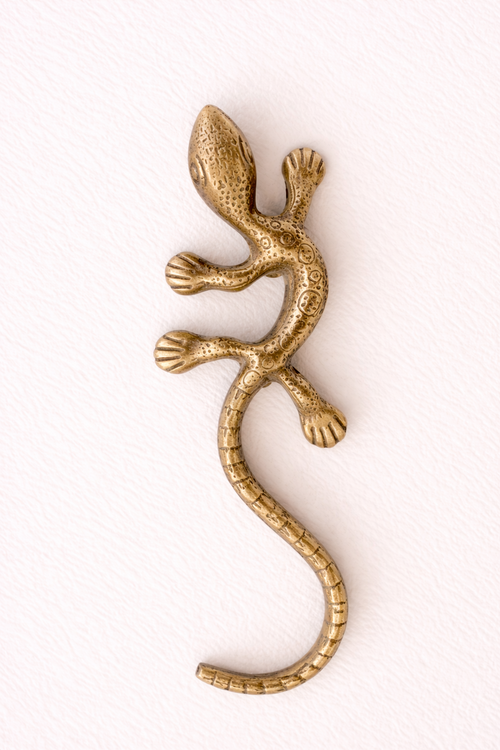 Brass Gecko Door Handle