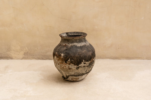 Terracotta Pot