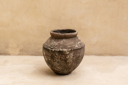 Terracotta Pot